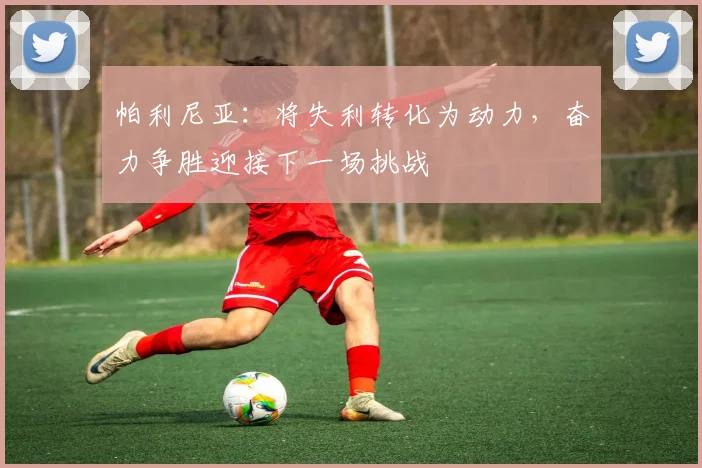 帕利尼亚：将失利转化为动力，奋力争胜迎接下一场挑战